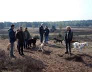 Voorjaarswandeling 2019
