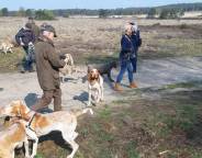Voorjaarswandeling 2019